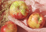 Apples