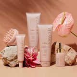 Collection header image