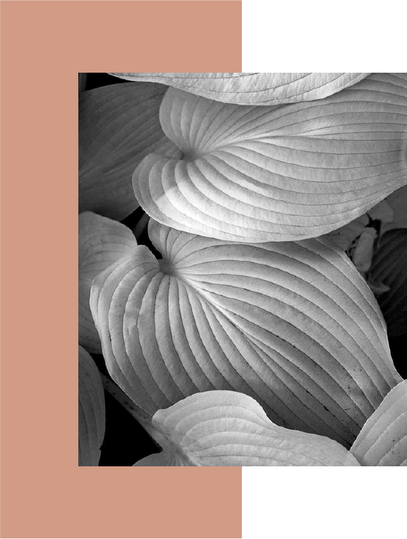 Growth inspired by nature